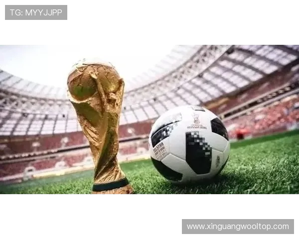 利姓足球明星的辉煌历程与成就解析