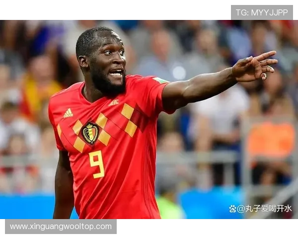 比利时足球明星盘点他们在国际赛场上的辉煌成就与影响力