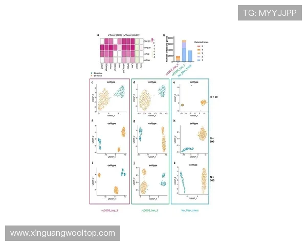 杭州排球队团队协作表现的深入数据分析与探讨
