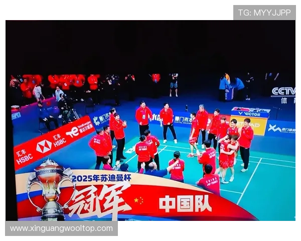 杭州羽毛球队引领最新羽毛球意识TOP10榜单的崛起与发展